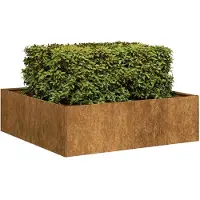 vidaXL Jardinière rouillé 100x100x30 cm acier inoxydable