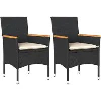 vidaXL Chaises de jardin avec coussins 2 pcs. noir poly rotin
