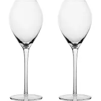 Sagaform Flûtes à champagne 20 cl, set de 2