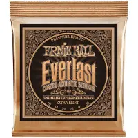 Ernie Ball 2550 Everlast