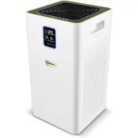 Kärcher 10248210 AF 30 Luftreiniger weiß 36 W