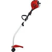 Einhell Coupe-bordures à essence GC-PT 2538/1 I AS