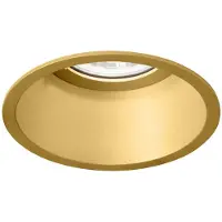 Wever & Ducre Deeper 1.0 PAR16 Projecteur Gold | False Ceiling