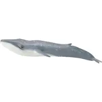 Collecta Baleine bleue - (XL)