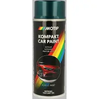 Motip 53875 Voertuig-combinatielak