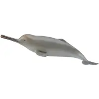 Collecta Figurine de dauphin du Gange 88611