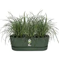 Elho Pot de Plante Elho Vert 21,2 x 52 x 19,4 cm