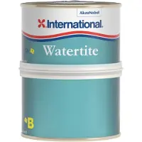 International Watertite Putty 250ml Clair