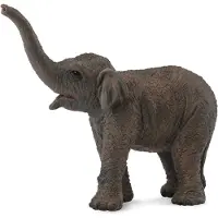 Collecta Éléphant d'Asie - chaton éléphant