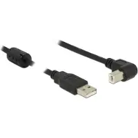 DeLOCK Câble USB - USB (M) pour USB Type B (M)