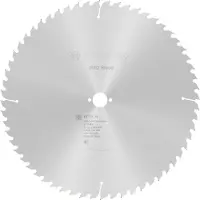 Bosch Professional Op Wo S 400x30-60 Circular Saw Blade Argenté