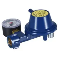 Talamex Régulateur De Gaz Avec Manomètre