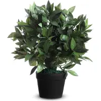 Meet by Paperflow Plante artificielle Laurier - PE - H 500 mm
