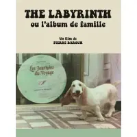 Saravah The Labyrinth DVD