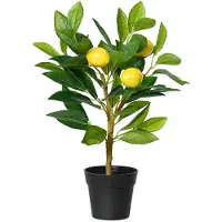 Décoris Künstlicher Zitronenbaum mit realistischen Früchten im stabilen Topf (40 cm)