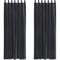 vidaXL Rideaux occultants 2 pcs gris foncé 140 x 225 cm velours
