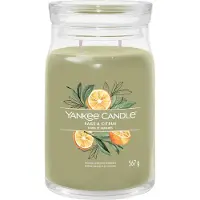 Yankee candle Sage & Citrus bougie parfumée Signature 567 g