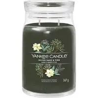 Yankee candle Silver Sage & Pine bougie parfumée Signature 368 g