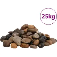 vidaXL Galets polis 25 kg multicolores 2-5 cm