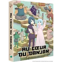 ALL THE ANIME Au Cœur du Donjon L'Intégrale Édition Collector Blu-ray