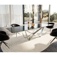 DELIFE Table à manger Edge 300x100 verre fondu noir fumé relief en 3D Spider acier plat acier inoxydable