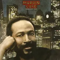MUSIC ON CD Marvin Gaye - Midnight Love CD