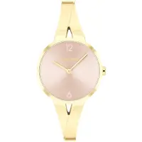 Calvin Klein Watches Montre Pour Femme 25100027 30 Mm