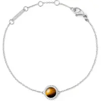 Daniel Wellington Bracelet - Acier Argent - Daniel Wellington - Dw00401439
