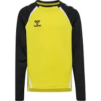 Hummel Sweat de sport 'Lead 2.0' jaune foncé / noir / blanc
