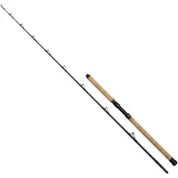 Kinetic Battler Cf Canne bateau 2 brins Beige 2.02 m / 200-600 g Beige 2.02 m
