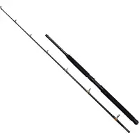 Kinetic Powercore Cc Canne à Bateau Noir 2.02 m / 100-400 g Noir 2.02 m