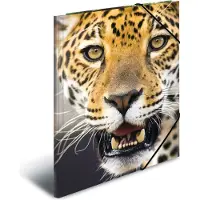 Herma Sammelmappe A4 Motiv