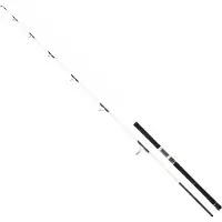 Daiwa Saltist Off Shore Canne à lancer Blanc 2.29 m / 50-130 g Blanc 2.29 m