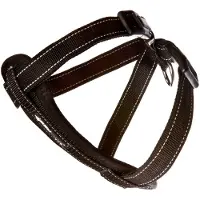Ginza.se Neoprene Dog Harness Noir M