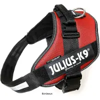 JULIUS K-9 Idc Power Dog Harness Rouge 2XL-3