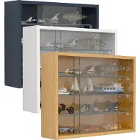 VCM Bois verre suspendu vitrine murale collectionneur vitrine Drivalo S Bois verre suspendu vitrine murale collectionneur vitrine Drivalo S