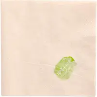 Papstar Serviettes , 2 plis, L 330 x l 330 mm avec pliage en ¼, papier certifié FSC, naturel non blanchi, 250 pièces