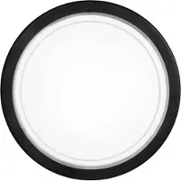 Eglo Lampe de plafond Planet 1 Noir