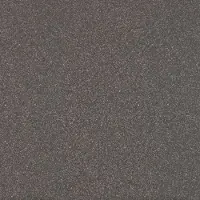 Praxis Carrelage de sol Gres 30 x 30 cm anthracite