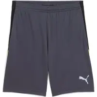 Puma Short Liga