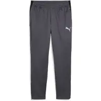 Puma IndividualLIGA Training Pants