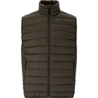 Whistler Gilet de sport 'Edge' sapin