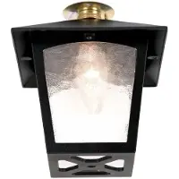 Elstead Lighting Plafonnier d'extérieur classique B22 60 W York Elstead