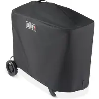 Weber Voyageur