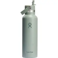 Hydroflask Stardard Flex Straw 620ml Thermal Bottle Vert