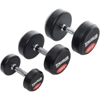 Taurus Haltère Taurus en caoutchouc 34 kg