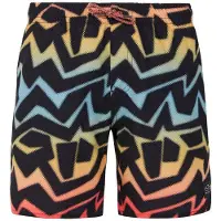 Protest Short De Bain Desert