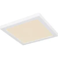 Globo LED 18W LASSE Plafond 12380-18W