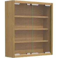 VCM Bois verre suspendu vitrine murale collectionneur vitrine Agisa S Bois verre suspendu vitrine murale collectionneur vitrine Agisa S