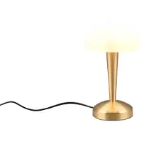 TRIO Lampe de table Canaria, laiton et blanc, 1xE14x5W, verre, dimensions : 26,5 x 15 x 15 cm, IP20, RL